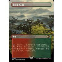 [EX+](フルアート)(0361)樹木茂る山麓/Wooded Foothills《日本語》【MH3】