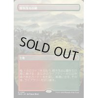 [EX+](FOIL)(フルアート)(0361)樹木茂る山麓/Wooded Foothills《日本語》【MH3】