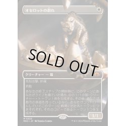 画像1: [EX+](フルアート)オセロットの群れ/Ocelot Pride《日本語》【MH3】