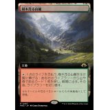(FOIL)(フルアート)(0467)樹木茂る山麓/Wooded Foothills《日本語》【MH3】