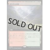 [EX+](FOIL)(フルアート)(0467)樹木茂る山麓/Wooded Foothills《日本語》【MH3】