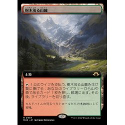 画像1: (FOIL)(フルアート)(0467)樹木茂る山麓/Wooded Foothills《日本語》【MH3】