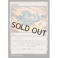 [EX+](FOIL)欺罔地帯/Deceptive Landscape《日本語》【MH3】