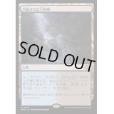 [PLD]汚染された三角州/Polluted Delta《日本語》【MH3】