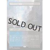 [EX](フルアート)(0356)汚染された三角州/Polluted Delta《日本語》【MH3】