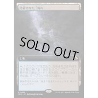 [EX+](FOIL)(フルアート)(0465)汚染された三角州/Polluted Delta《日本語》【MH3】