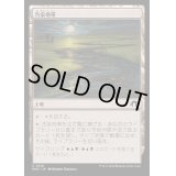 [EX+](FOIL)汚染地帯/Contaminated Landscape《日本語》【MH3】