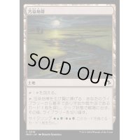 [EX+](FOIL)汚染地帯/Contaminated Landscape《日本語》【MH3】