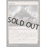 [EX+](FOIL)煮沸地帯/Seething Landscape《日本語》【MH3】