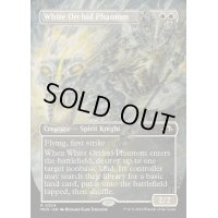 [EX+](FOIL)(フルアート)白蘭の幻影/White Orchid Phantom《英語》【MH3】