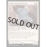 [EX+](FOIL)白蘭の幻影/White Orchid Phantom《英語》【MH3】