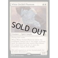 [EX+](FOIL)白蘭の幻影/White Orchid Phantom《英語》【MH3】