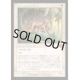 [EX](FOIL)(旧枠仕様)オセロットの群れ/Ocelot Pride《日本語》【MH3】