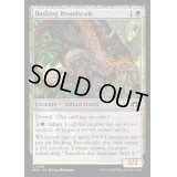 [EX+]日を浴びる繁殖鱗/Basking Broodscale《英語》【MH3】