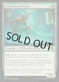 (FOIL)進化の証人/Evolution Witness《英語》【MH3】