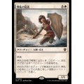 無私の従者/Selfless Squire《日本語》【MKC】
