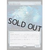 [EX+](フルアート)絡み集めの海藻/Tangletrove Kelp《日本語》【MKC】