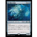 絡み集めの海藻/Tangletrove Kelp《日本語》【MKC】