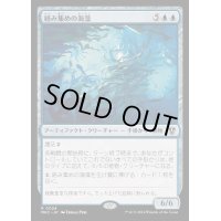 絡み集めの海藻/Tangletrove Kelp《日本語》【MKC】