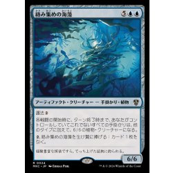 画像1: 絡み集めの海藻/Tangletrove Kelp《日本語》【MKC】