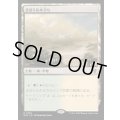 [EX+]まばらな木立ち/Scattered Groves《日本語》【MKC】