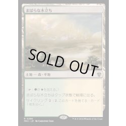 画像1: [EX+]まばらな木立ち/Scattered Groves《日本語》【MKC】