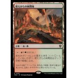 燃えがらの林間地/Cinder Glade《日本語》【MKC】