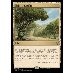 画像1: 風変わりな果樹園/Exotic Orchard《日本語》【MKC】