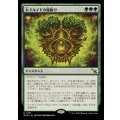 大ドルイドの魔除け/Archdruid's Charm《日本語》【MKM】