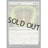 [EX](FOIL)大ドルイドの魔除け/Archdruid's Charm《日本語》【MKM】