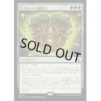 (FOIL)大ドルイドの魔除け/Archdruid's Charm《日本語》【MKM】