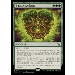 画像1: [EX+]大ドルイドの魔除け/Archdruid's Charm《日本語》【MKM】