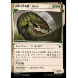 (ショーケース枠)暗渠で待ち伏せるもの/Culvert Ambusher《日本語》【MKM】
