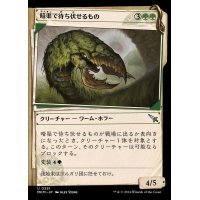 (FOIL)(ショーケース枠)暗渠で待ち伏せるもの/Culvert Ambusher《日本語》【MKM】