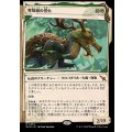 (ショーケース枠)育殻組の誉れ/The Pride of Hull Clade《日本語》【MKM】