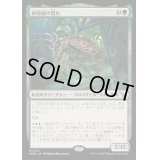 育殻組の誉れ/The Pride of Hull Clade《日本語》【MKM】