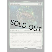 (FOIL)育殻組の誉れ/The Pride of Hull Clade《日本語》【MKM】