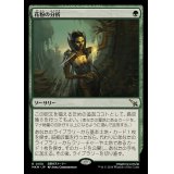 (FOIL)花粉の分析/Analyze the Pollen《日本語》【MKM】