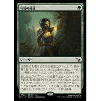 (FOIL)花粉の分析/Analyze the Pollen《日本語》【MKM】