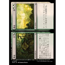 画像1: (FOIL)中止+停止/Cease+Desist《日本語》【MKM】