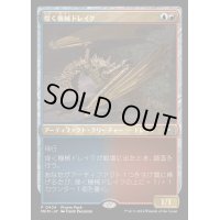 [EX+](0424)煌く機械ドレイク/Gleaming Geardrake《日本語》【MKM】