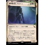 (ショーケース枠)蜘蛛網の頭、アイゾーニ/Izoni, Center of the Web《日本語》【MKM】