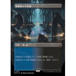 画像1: [EX+](FOIL)(フルアート)地底街の下水道/Undercity Sewers《日本語》【MKM】