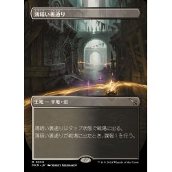 画像1: (FOIL)(フルアート)薄暗い裏通り/Shadowy Backstreet《日本語》【MKM】