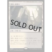 [EX](FOIL)薄暗い裏通り/Shadowy Backstreet《日本語》【MKM】