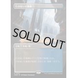 (FOIL)(フルアート)行き届いた書庫/Meticulous Archive《日本語》【MKM】