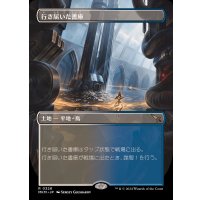 [EX+](フルアート)行き届いた書庫/Meticulous Archive《日本語》【MKM】