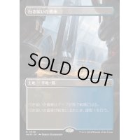 [EX+](フルアート)行き届いた書庫/Meticulous Archive《日本語》【MKM】