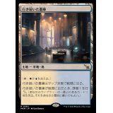 行き届いた書庫/Meticulous Archive《日本語》【MKM】