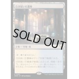 [EX](FOIL)行き届いた書庫/Meticulous Archive《日本語》【MKM】